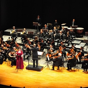 Concerto sinfonico (2013) : Concerto 19 novembre 2013 - foto: Sebastiano Piras